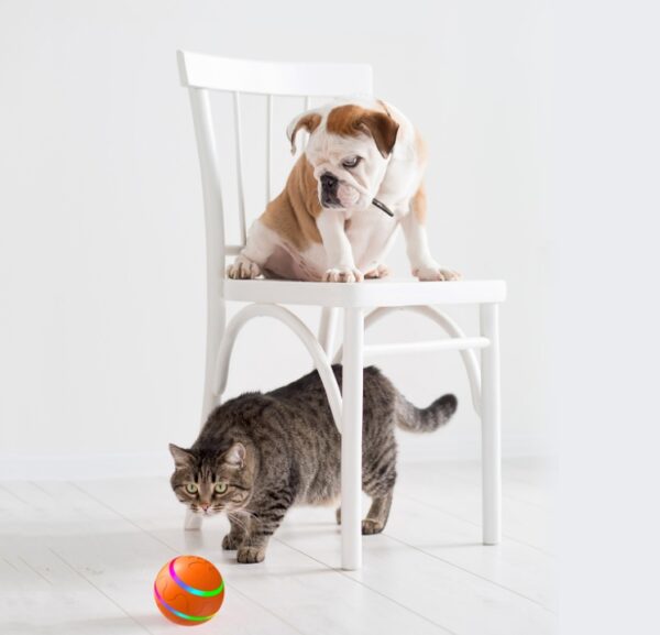 Pet New Cat Wicked Ball Toy Intelligent Ball USB Cat Toys Self Rotating Ball Automatic Rotation Ball - Image 6